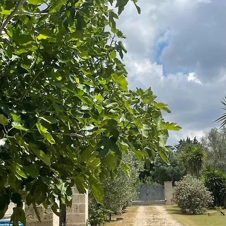 Emma Holiday home *